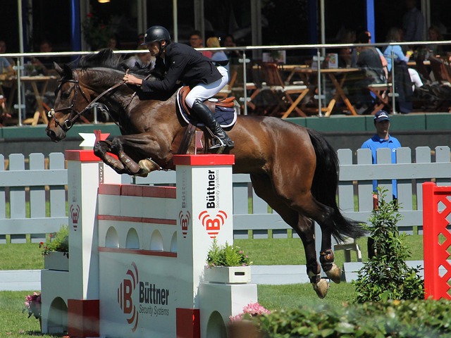 仅是一次简 仅是一次简